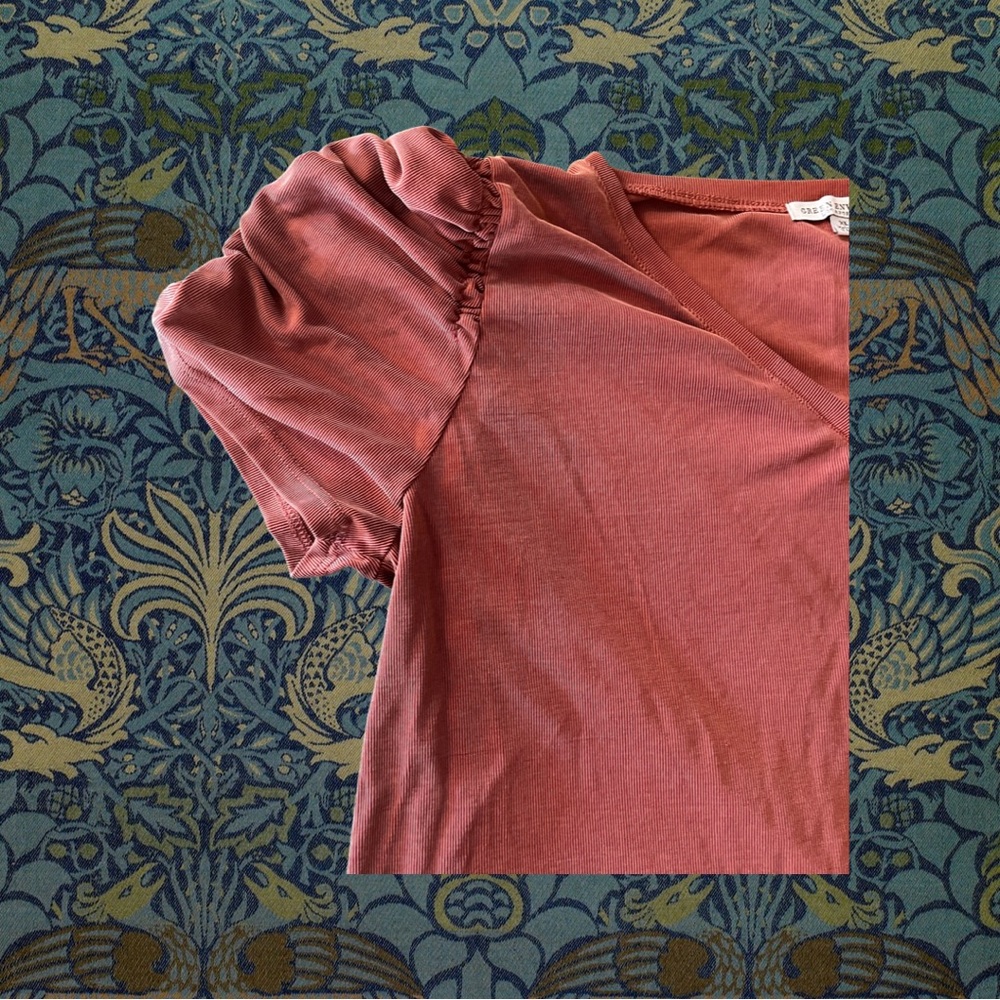 rusty orange puffed sleeve top